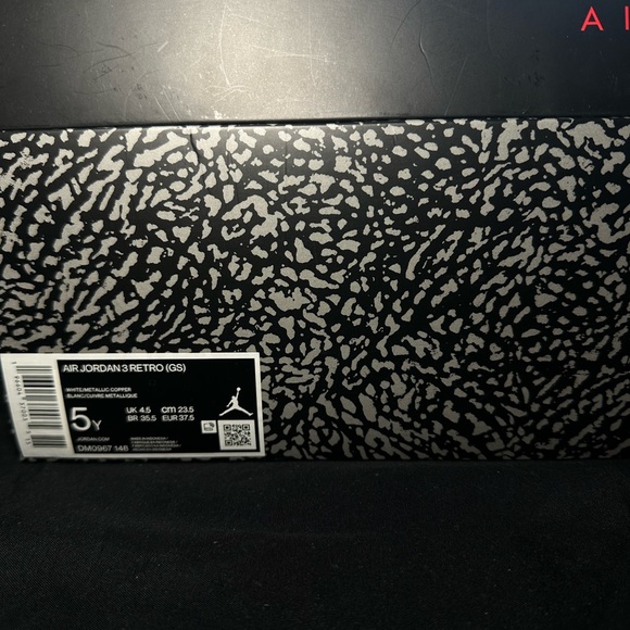 Air Jordan 3 Sneakers - Picture 3 of 4